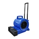 Carpet dryer